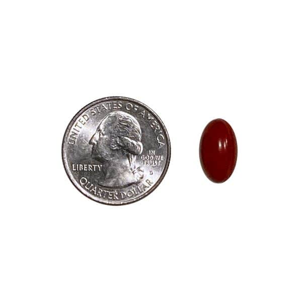 healthy origins pill