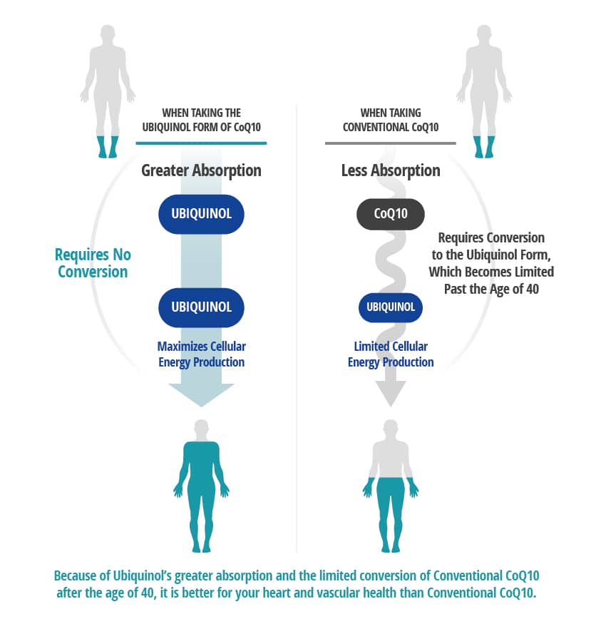 Because of Ubiquinol's greater absorption and the limited conversion of Conventional CoQ10 after the age of 40, it is better for your heart and vascular health that Conventional CoQ10.