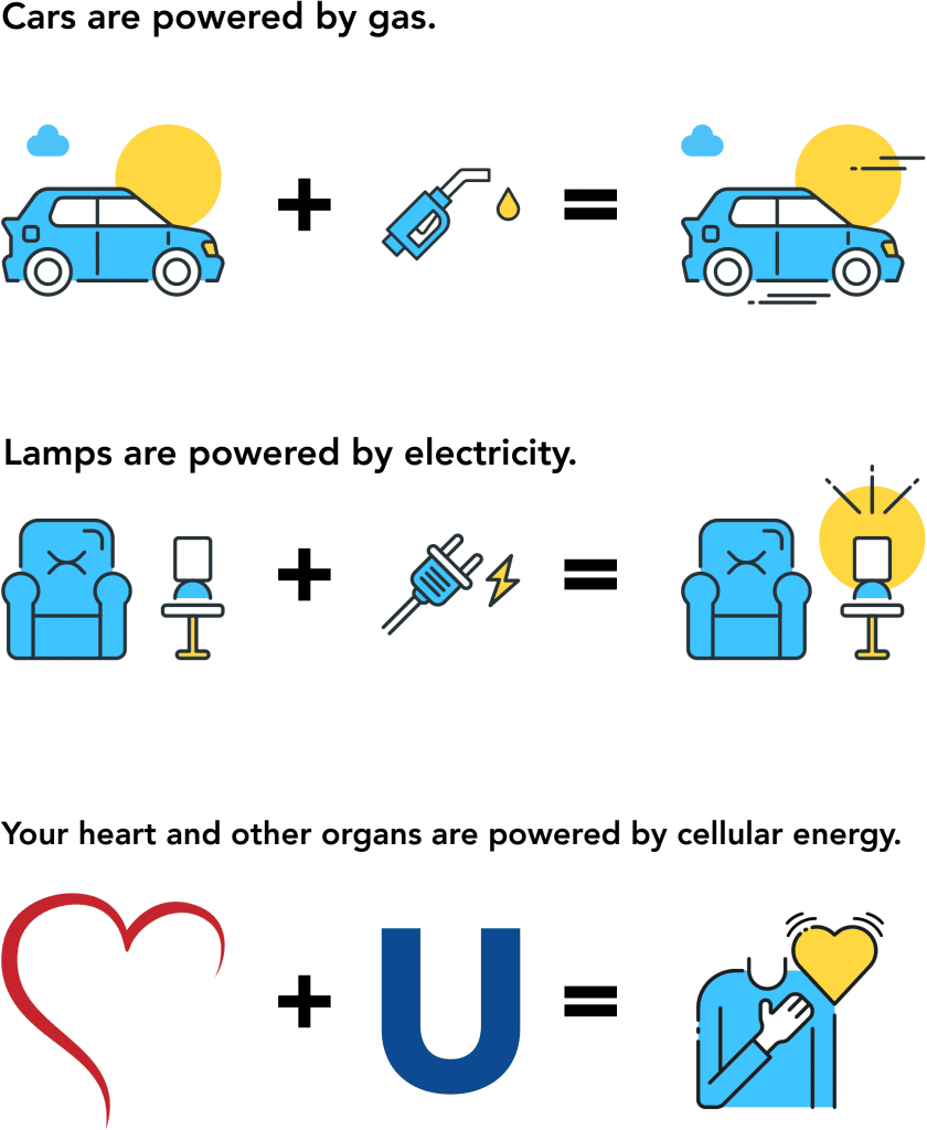 diagram why ubiquinol is good for your heart